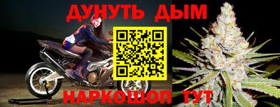 сатива Комсомольск-на-Амуре