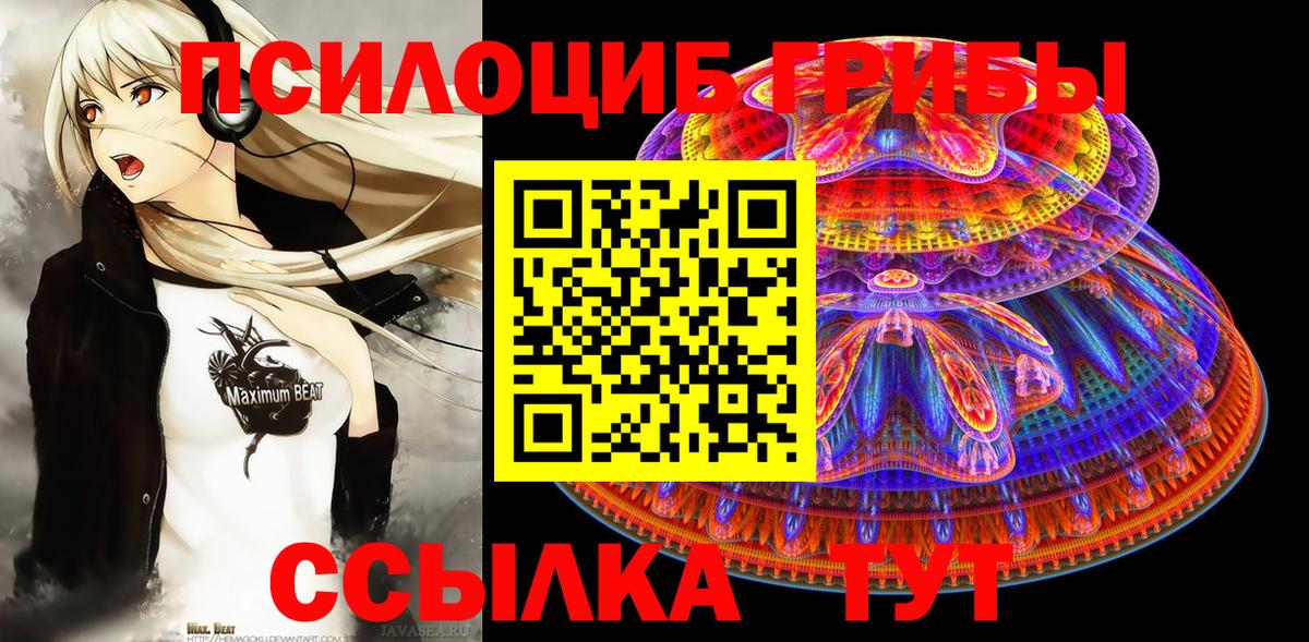 Псилоцибиновые грибы GOLDEN TEACHER  Вход с VPN  Балашов 